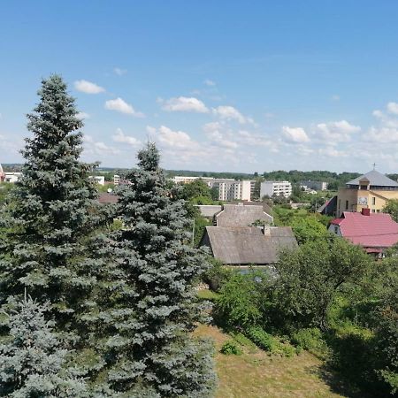 Apartment Anna Салдус Экстерьер фото