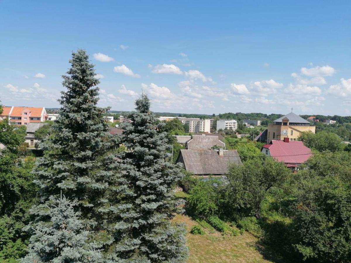 Apartment Anna Салдус Экстерьер фото