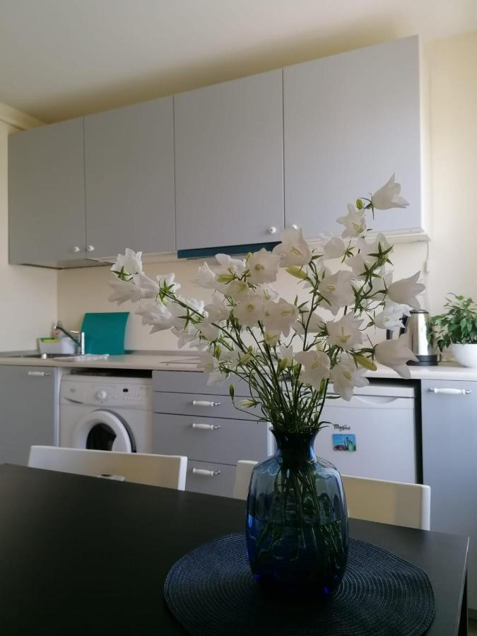 Apartment Anna Салдус Экстерьер фото